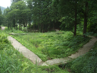 ほたる見台全景