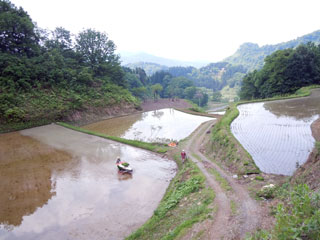田麦の田園風景