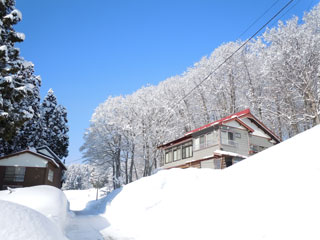 紺碧の空ブナ林雪の華