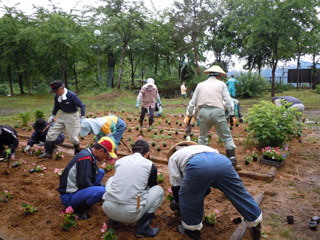 花植えボランテイア
