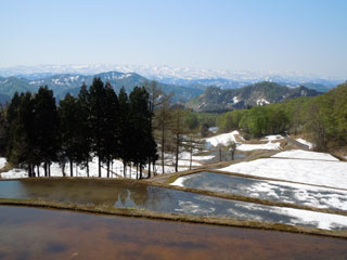 遠景に菱ｹ岳