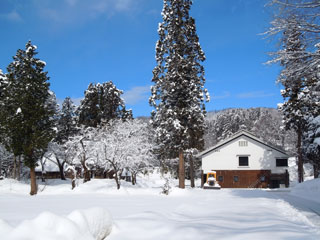 雪景色2